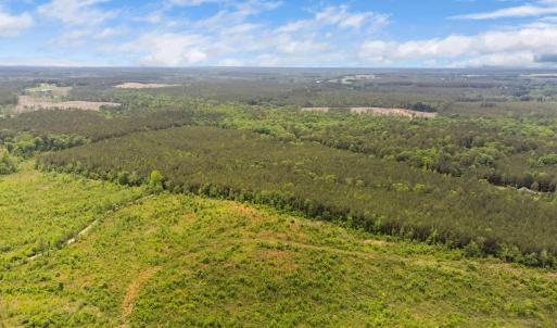 1-web-or-mls-s-plank-rd