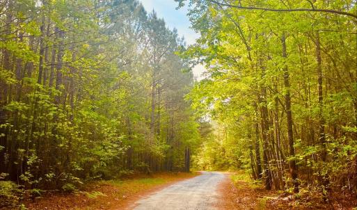 fa1c788e-84da-4c18-8b5e-66720a116f73