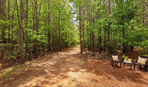 32-web-or-mls-s-plank-rd