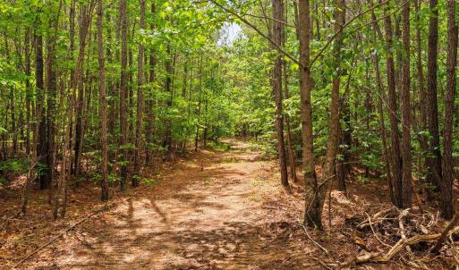 31-web-or-mls-s-plank-rd