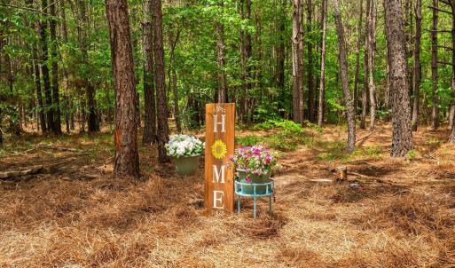 25-web-or-mls-s-plank-rd