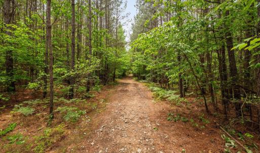 21-web-or-mls-s-plank-rd