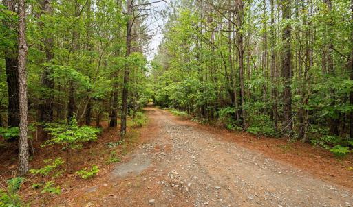 20-web-or-mls-s-plank-rd