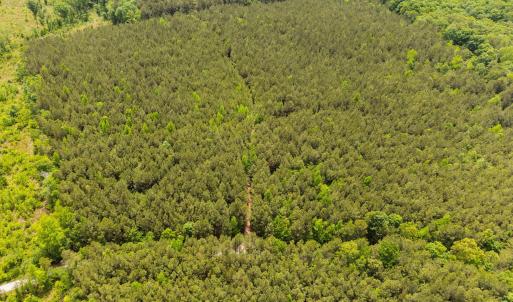 16-web-or-mls-s-plank-rd