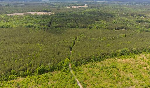 13-web-or-mls-s-plank-rd