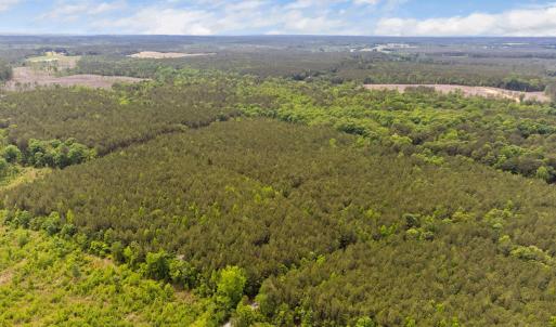 8-web-or-mls-s-plank-rd