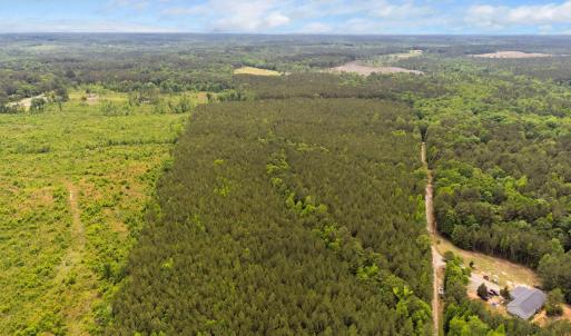 7-web-or-mls-s-plank-rd