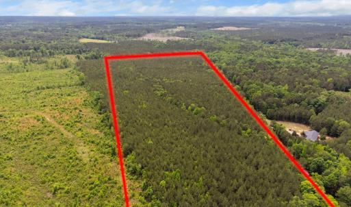 6-web-or-mls-s-plank-rd