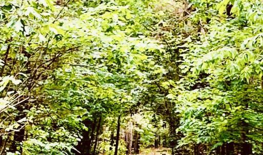 original-42732247-9E0B-4BAB-9D06-3A975BB