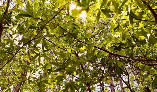 1ed07b87-3e85-4556-ac1a-1caed2a6f11a