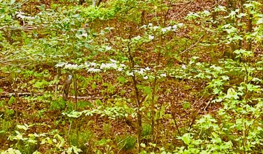 d6203c32-2cc2-47a3-bed7-98ba09c57e40