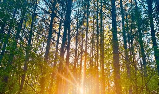 7e573b4c-179f-43d8-83db-e6ad4f105286