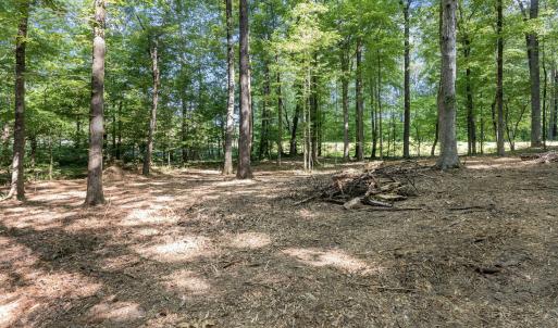 8-web-or-mls-8Y3A5276