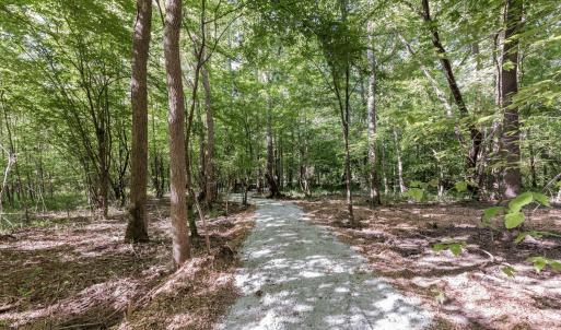 17-web-or-mls-8Y3A5285