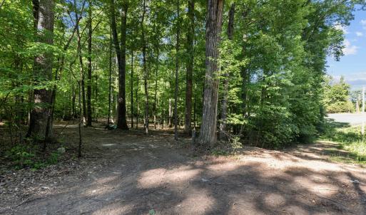 3-web-or-mls-8Y3A5271