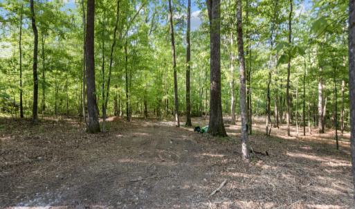 5-web-or-mls-8Y3A5273