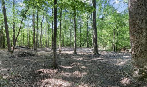 14-web-or-mls-8Y3A5282