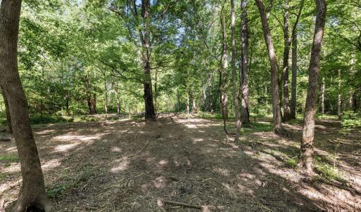 19-web-or-mls-8Y3A5287