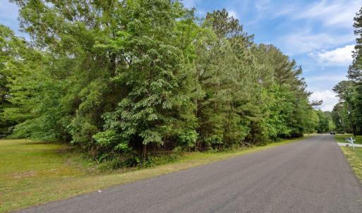 15-web-or-mls-P1061643