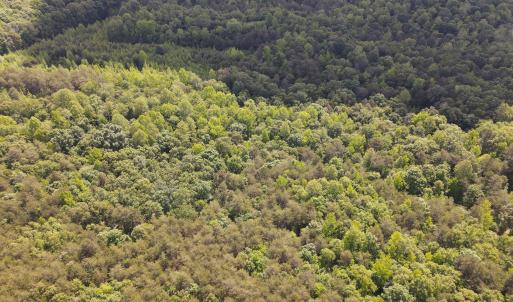 DJI_0476