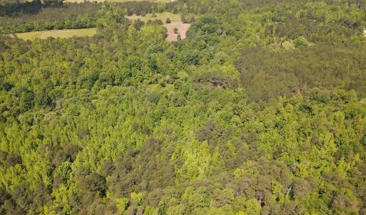 DJI_0479