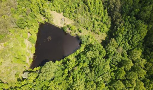 DJI_0482