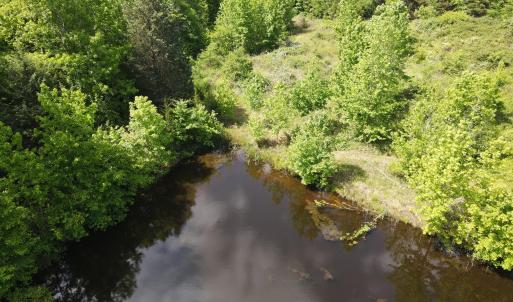 DJI_0484