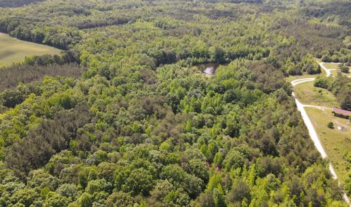 DJI_0490