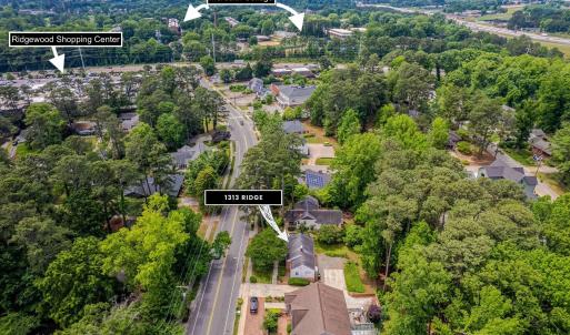 48-web-or-mls-1313 Ridge - aerials-20