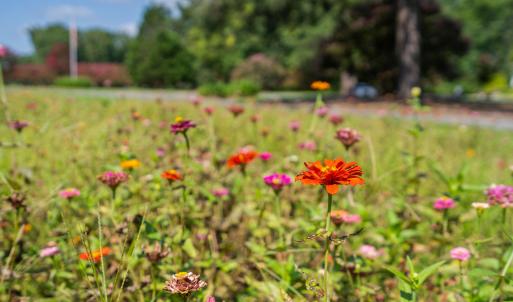 95-print-3123-brassfield-rd