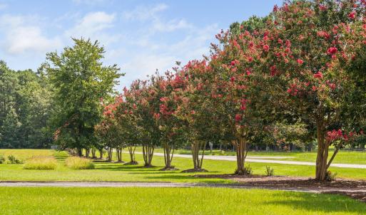 104-print-3123-brassfield-rd