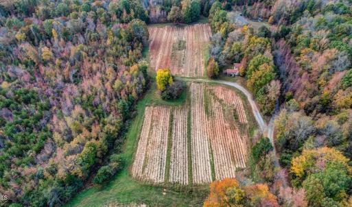 501 Barley Road Reidsville NC-large-008-