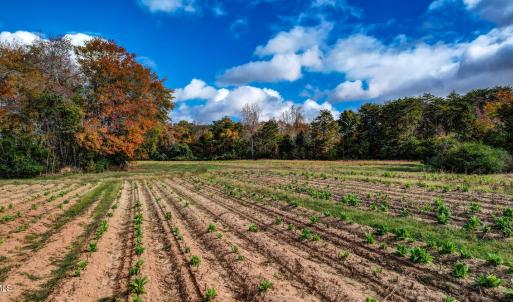 501 Barley Road Reidsville NC-large-010-
