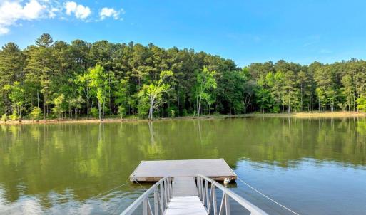 Buchanan Dock 1