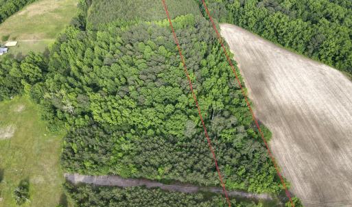 dji_fly_20250513_172750_579_174717168655