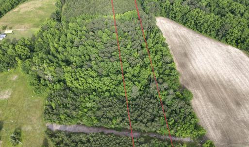 dji_fly_20250513_172756_580_174717169667
