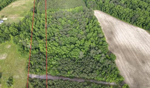dji_fly_20250513_172756_580_174717169667
