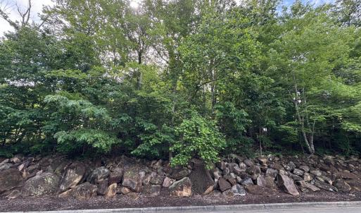 Screenshot 2025-05-15 at 8.28.36 AM