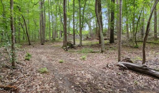 01-lot 8 buttonwood ln (14 of 16) - Copy