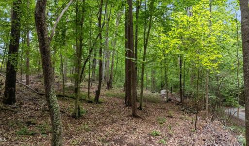 02-lot 8 buttonwood ln (15 of 16) - Copy