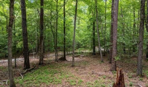 03-lot 8 buttonwood ln (16 of 16) - Copy