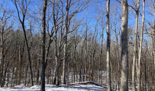 Lot 9 Snow 2