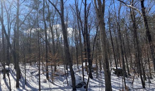 Lot 9 Snow