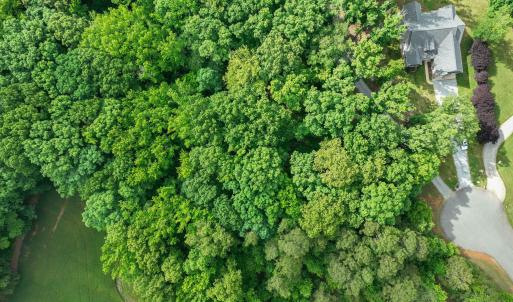 6-web-or-mls-untitled-85