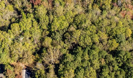 21-web-or-mls-DJI_0172-HDR