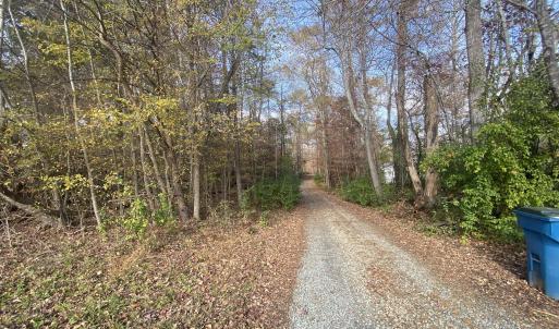 Piney Way