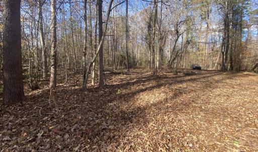 More land Picture