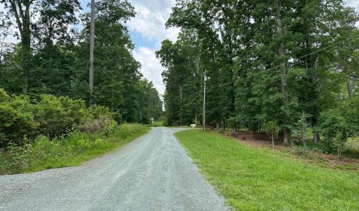 Road Into Lot