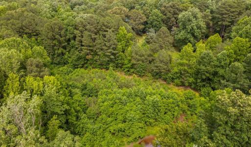 15-web-or-mls-917-reedy-creek-rd