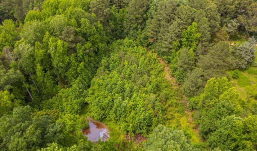 14-web-or-mls-917-reedy-creek-rd